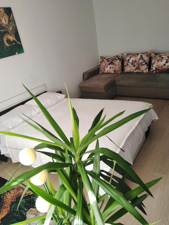 Garsoniera Rebecca Appartement Tîrgu Ocna Buitenkant foto