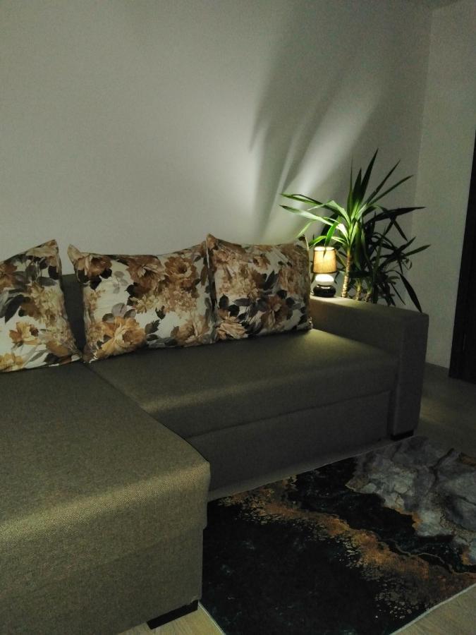 Garsoniera Rebecca Appartement Tîrgu Ocna Buitenkant foto