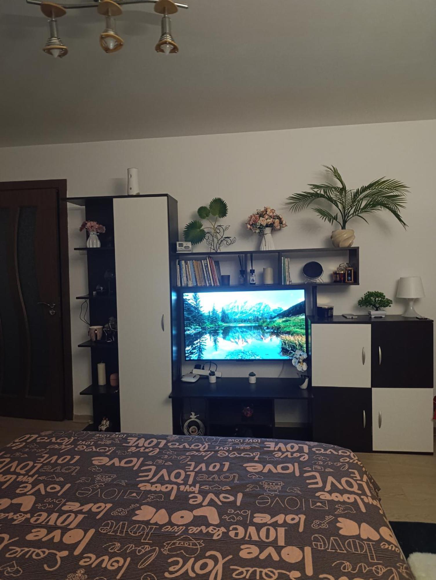 Garsoniera Rebecca Appartement Tîrgu Ocna Buitenkant foto